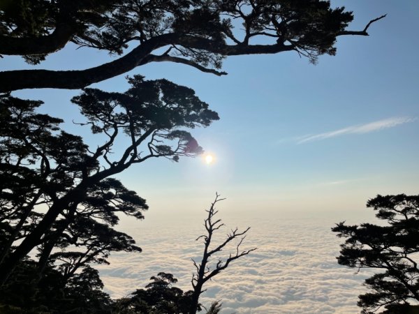 見證最美麗北大武山雲海、鐵杉1318866