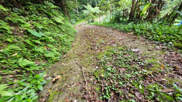 田薯O型連走(田寮山、毬子山、水頭排山、鎮石山、薯園山)全紀錄2289664