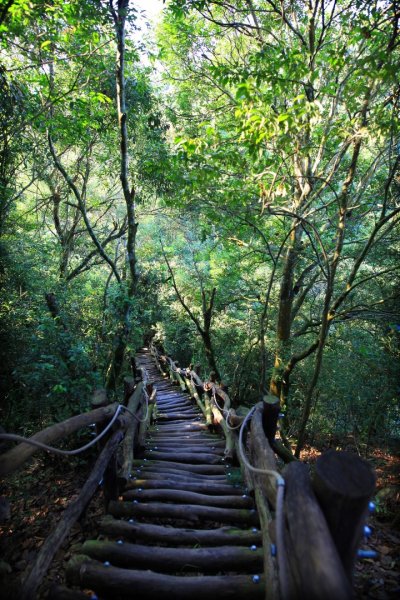 大坑四號登山步道422060