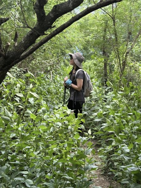 20250811小百岳大山母山2858844