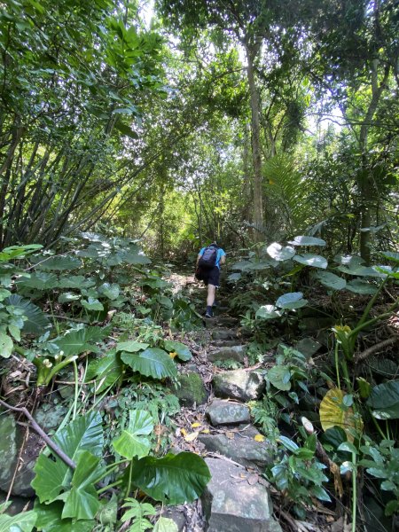 遺世古道的綠意與寧靜｜狗殷勤古道×至善園→平菁街健行路線2852140