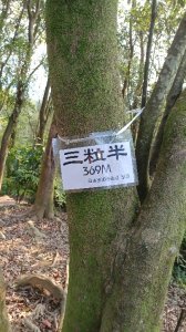 大暖尖山 天上山O型圈2093037