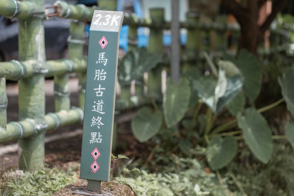 馬胎古道 （馬胎一期、南坪古道、內灣老街）3073850