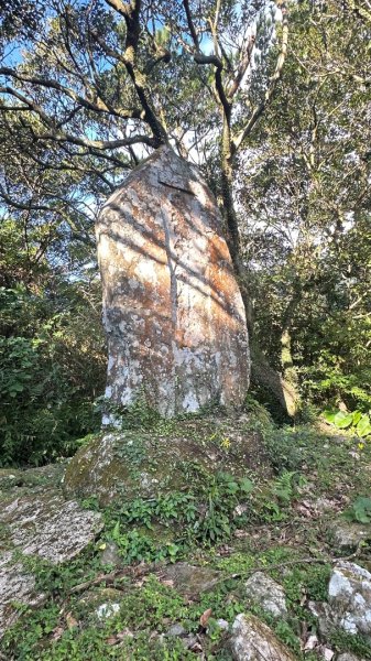 大屯山五連峰含面天山2934623