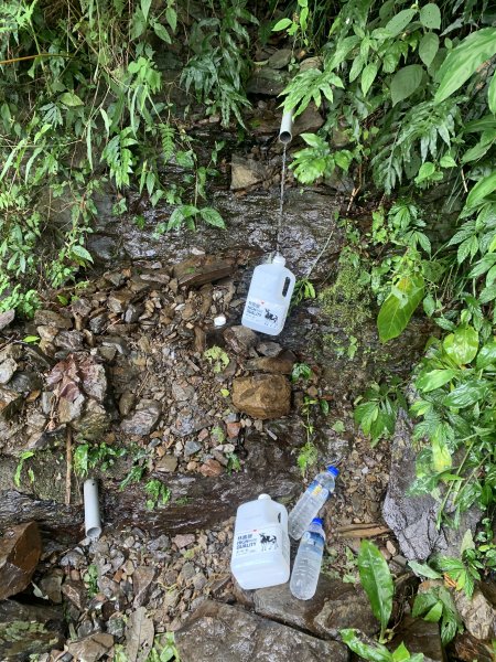 20251010高雄尾寮山-西北峰2913661