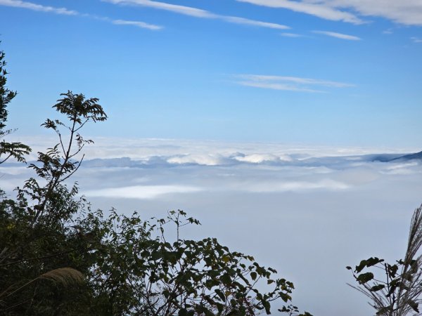 馬那邦山之雲海／雲瀑／楓紅／太陽琉璃光2668267
