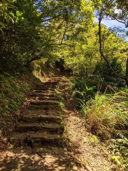 二子坪 面天山1083775