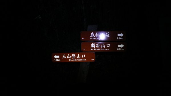 玉山主峰登山健行趣(百岳01號)2041356