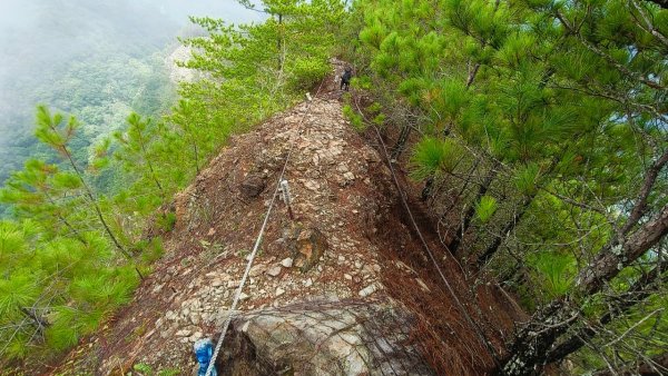 谷關七雄初體驗東卯山+屋我尾稜線2604791