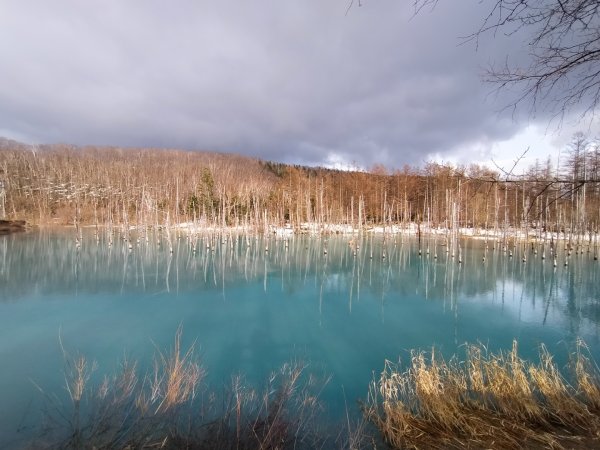 日本北海道青池2759846