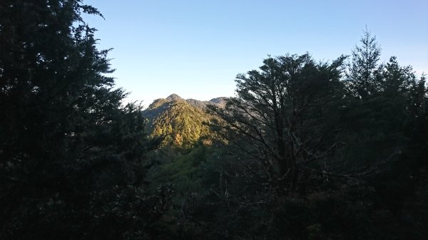 20250125 伊加之蕃-卑南東稜2715250