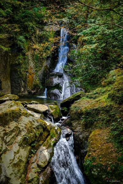 [冬訪大霸聖山岳參行]-大鹿林道東線榆金楓紅與九九山莊精選輯2974629