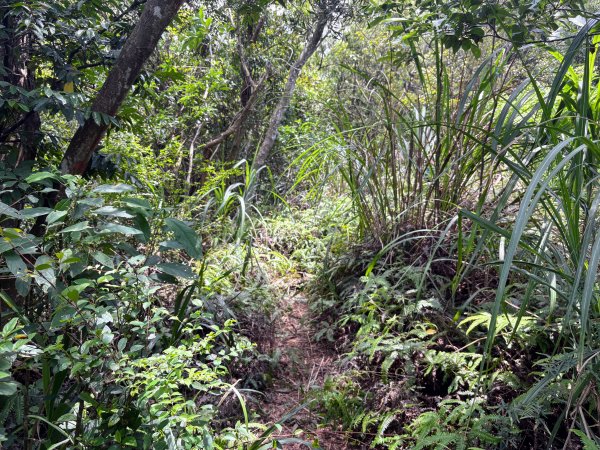 三段崎古道2835534