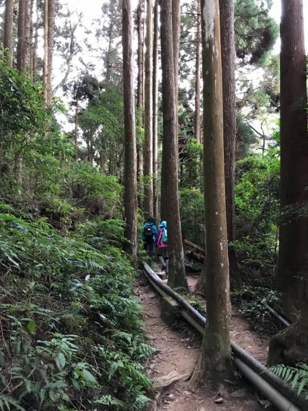 加里山鹿野線461341