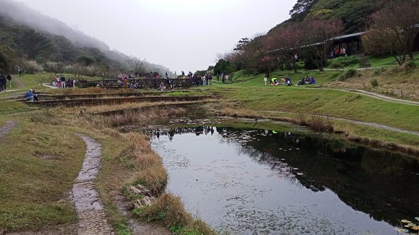 【臺北大縱走 1】二子坪→面天山→清天宮1274603