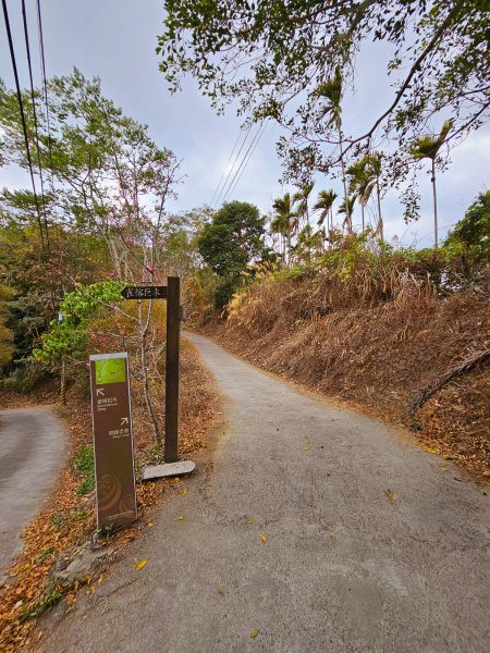 小百岳集起來-竹子尖山2184565