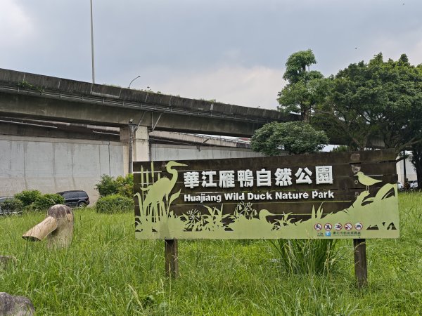 [跟著2025雙北世壯運探索雙北市-1/21] 2025_0607 飛盤競技道（華江雁鴨河濱步道）2807808