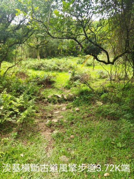 風擎步道-淡基橫斷古道-富士坪古道上大尖山1742554