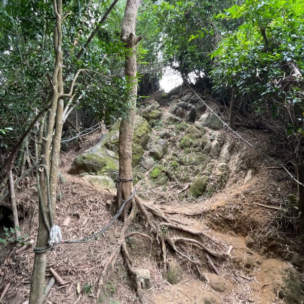 20251101_旗尾山（高雄小百岳）2941397