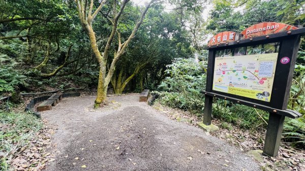 陽明山橫嶺古道|搭公車就能到京都嵐山竹林美景||澄園秘境賞梅前山公園悠閒野餐1603359