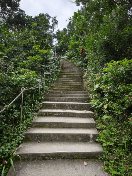 20260126微笑山線烘爐地段2989046