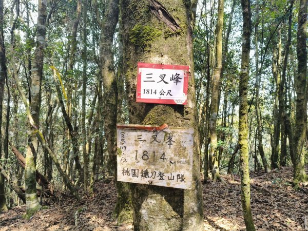 鳥東洗縱走11503213023079