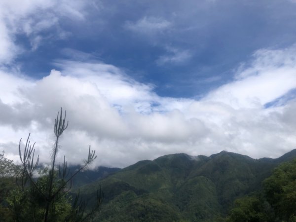 大鹿林道東線/騎乘登山車1722282