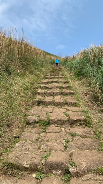 台北大縱走第二段1635012