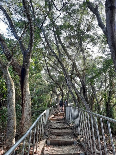 《彰化》田中森林登山步道O型202011221179704