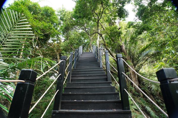 台中 和平 埋伏坪山2924984