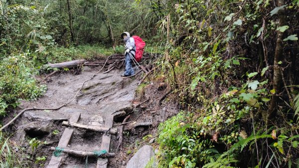 南一段20250101~052684992