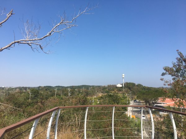 關廟森林公園、天空步道2423611