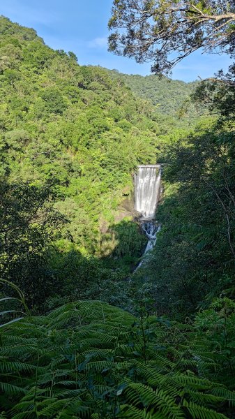 柴寮古道、中坑古道2814651