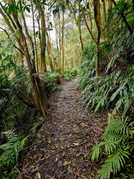 2025年臺北大縱走第四段：風櫃口至中華科大2756000