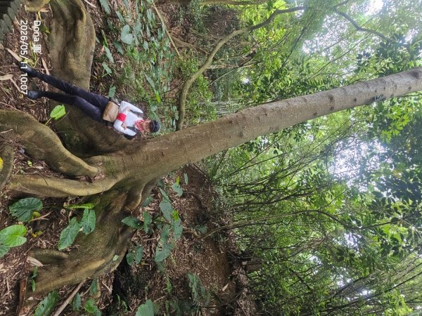 新竹小百岳十八尖山+成功池深度遊3060427