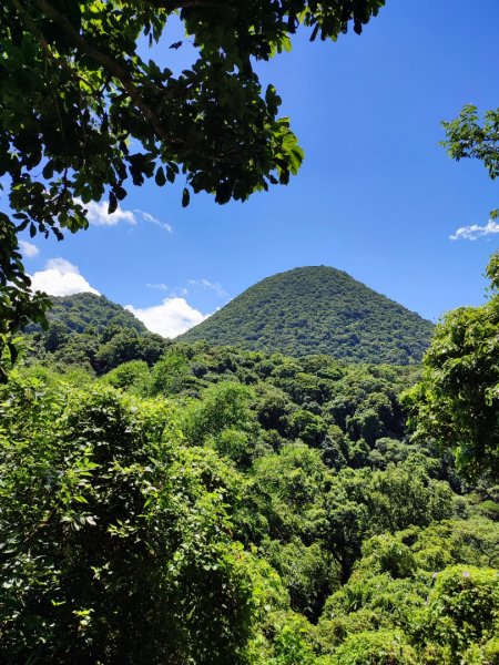 十八挖水圳，大屯瀑布，陽峰古道2219844