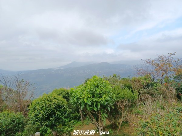 【台北。內湖】山頂好眺望。 小百岳集起來。 編號8小百岳大崙頭尾山親山步道1590482