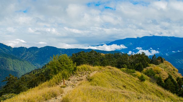 雪山東峰壯麗的山景&動植物1521803