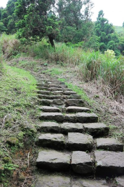 小百岳NO.1大屯山 。〔陽明山〕夢幻湖步道竹嵩山 擎天崗環形步道2151853