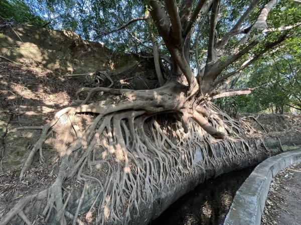 知高圳步道2711635