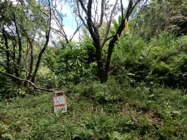 雙溪區雙澳崙+土地公嶺保甲路+青雲古道+遠景古道O型2910424