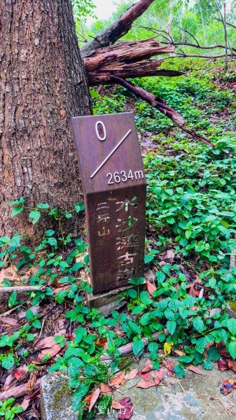 水沙漣古道｜二坪山2979985