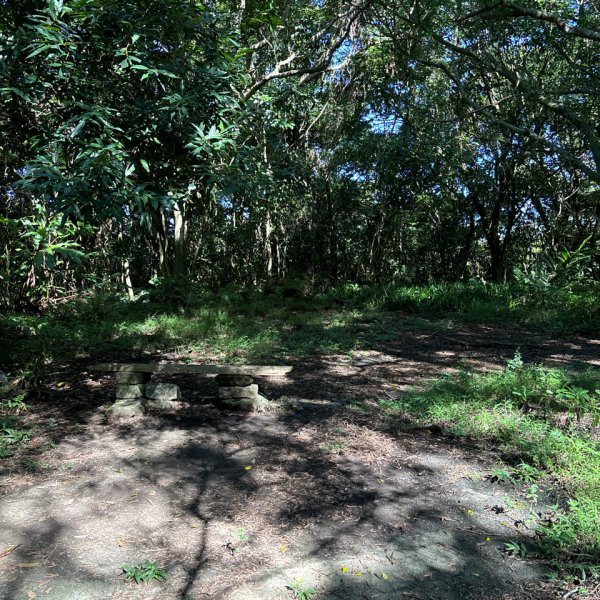 大崙頭山、大崙尾山2922657