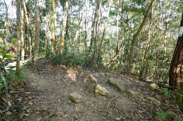 臺中 和平 白毛山、次郎山2670917