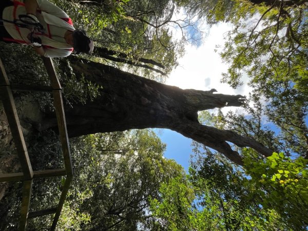 20221112_北得拉曼山2762266