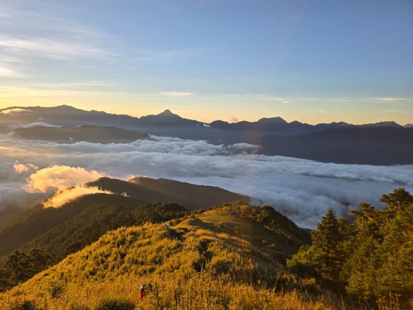 志佳陽大山（回程走高繞環山獵人登山步道）2542246