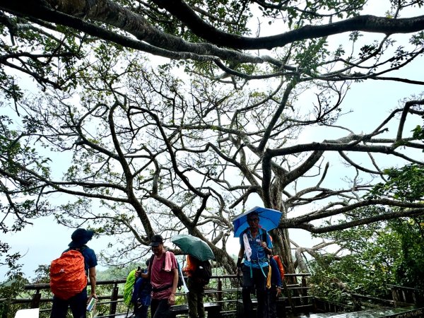 北壽山走壽山(小百岳#77) 龍泉寺起登出千光宮2934460
