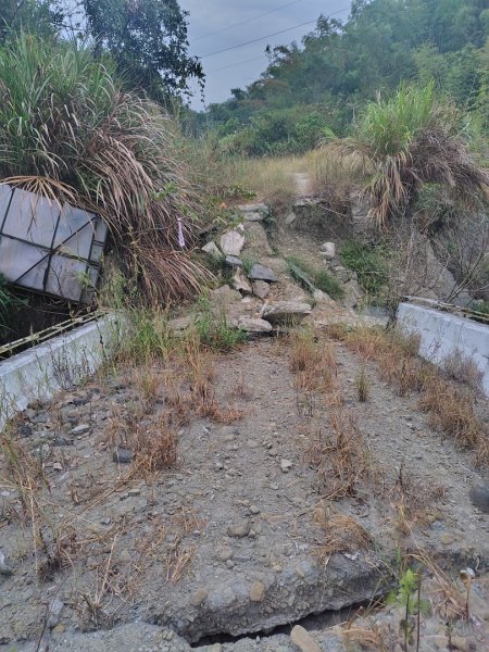 大棟山系南段 水利古道西口 上 竹高崙山 連走 鳥子嶺 坑仔內山 大崖山 下 龍目井農場2953211
