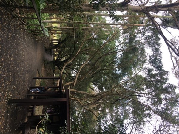 五酒桶山、南崁山2693318