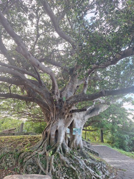 蘇澳砲台山11507183117190